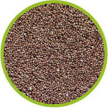 Actual product image Hobby Artemia Raising Bowl (2820 ml)