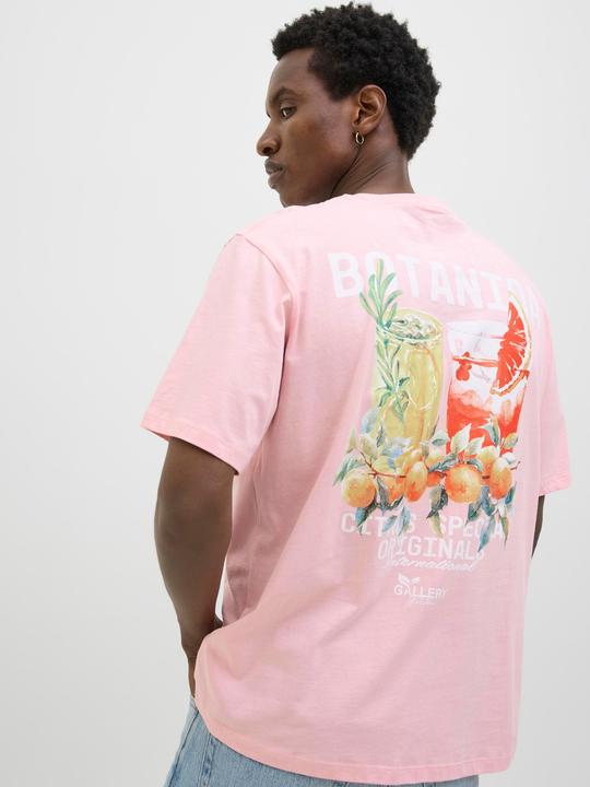 Actual product image Jack & Jones Jorbotaniq Tee Ss Crew Neck Tg Ln (XXL)