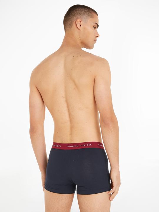 Actual product image Tommy Hilfiger WB Trunk (S, pack of 3)
