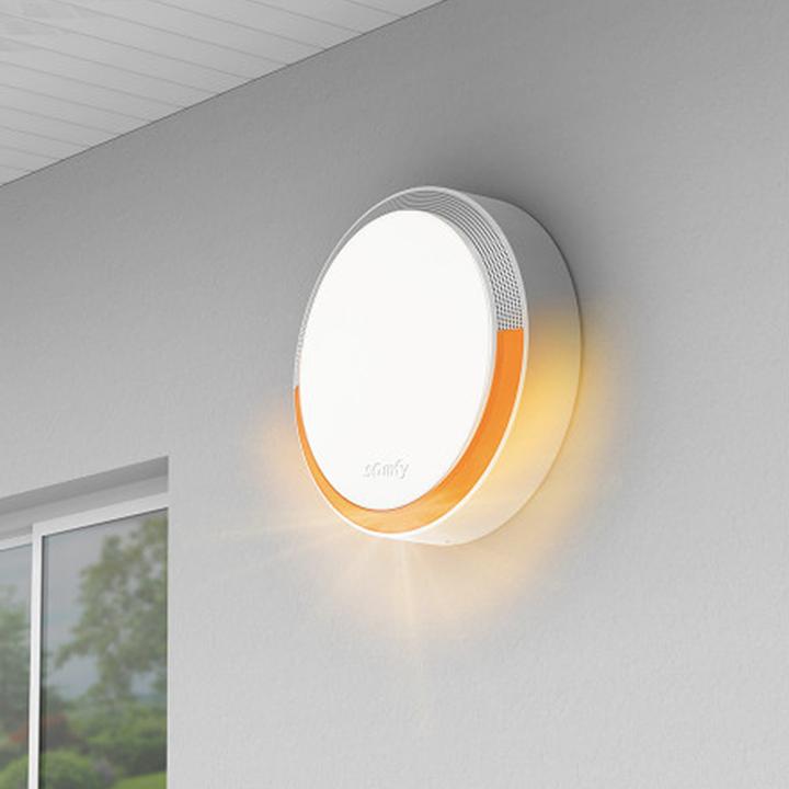 Immagine prodotto somfy Radio sirena esterna Home Alarm 2