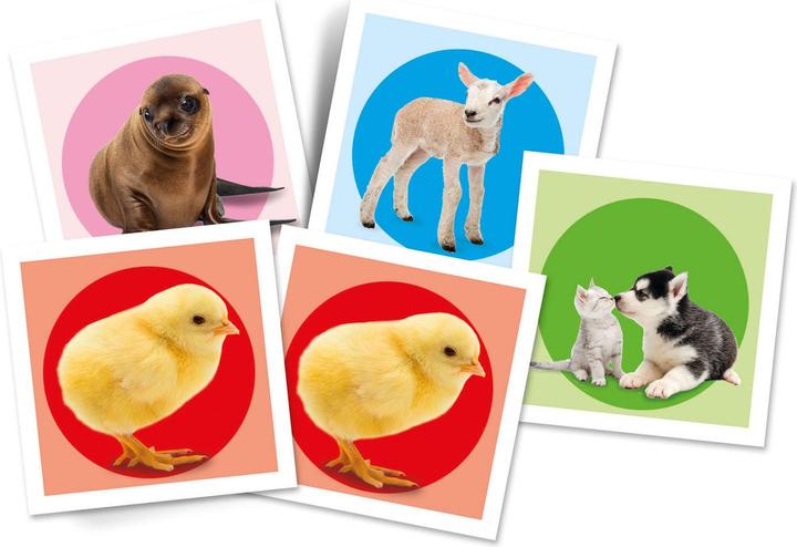 Actual product image Clementoni Memo compact animal babies memory game 4+