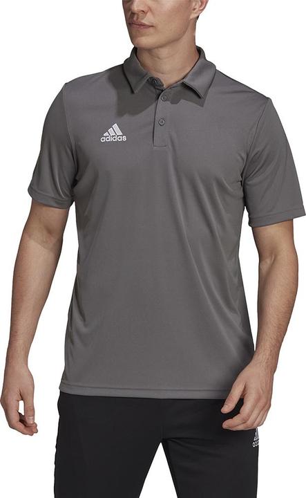 Actual product image adidas Entrada 22 polo shirt men (XXL)