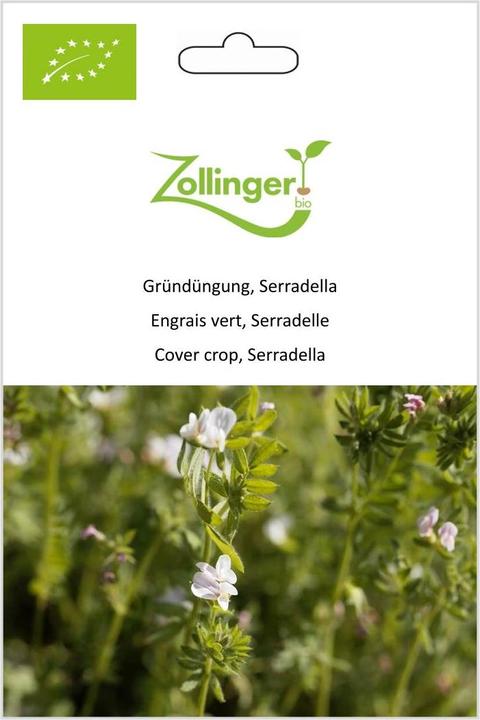 Immagine prodotto Zollinger Bio Concime verde, Serradella (Semi di piante)