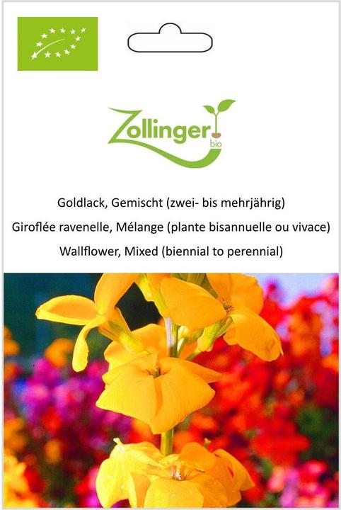 Image du produit Zollinger Bio Goldlack, Mélange (plante bisannuelle ou vivace) (Plante bulbeuse)