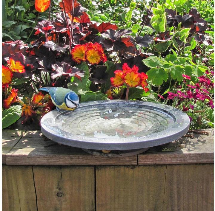 Produktbild Wildlife World Vogeltränke Oasis 30 x 30 x 5.5 cm