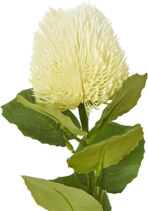 Actual product image Hill Interiors Banksia Stem Artificial Plant (59 cm)