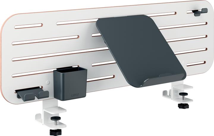 Leitz Pegboard desk organiser