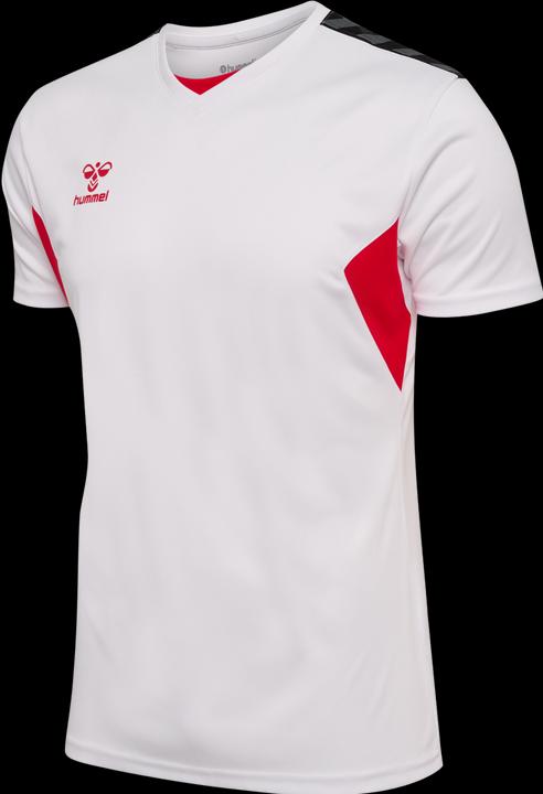 Image du produit hummel Hmlauthentic Pl Jersey S/S (XL)