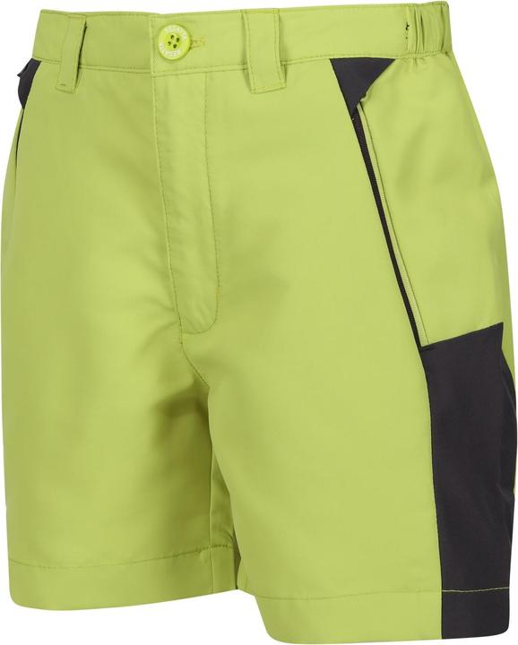 Actual product image Regatta Childrens/Kids Sorcer Mountain III Shorts (170, 176)