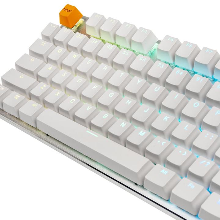 Actual product image Glorious PC Gaming Race GMMK TKL White Ice Edition (US, Cable)