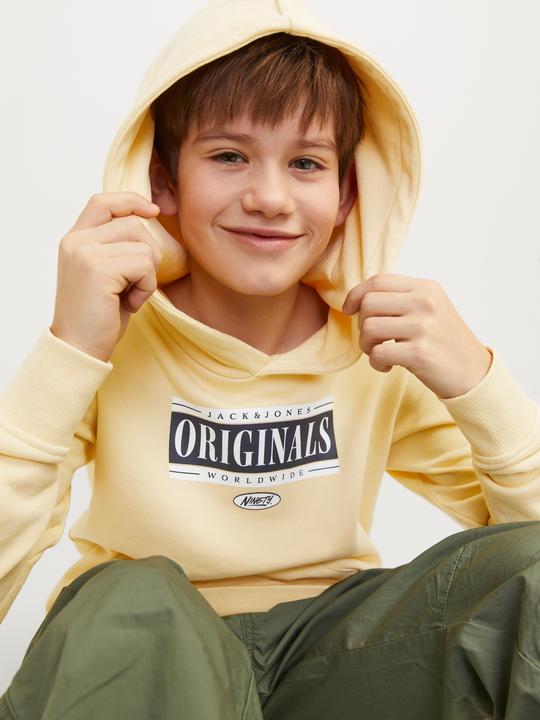 Image du produit Jack & Jones Jorcobin Sweat Hood Jnr (164)
