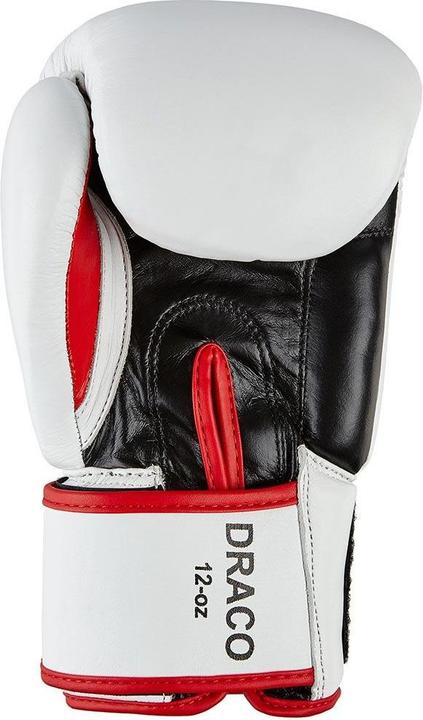 Actual product image Benlee boxing gloves for children draco (10 OZ, 10)