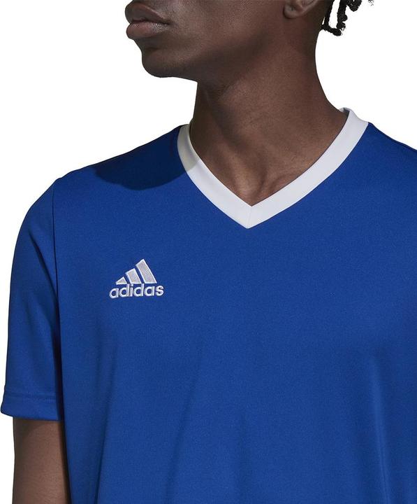 Actual product image adidas Koszulka ENTRADA 22 JSY HG6283 HG6283 niebieski XL (XL)