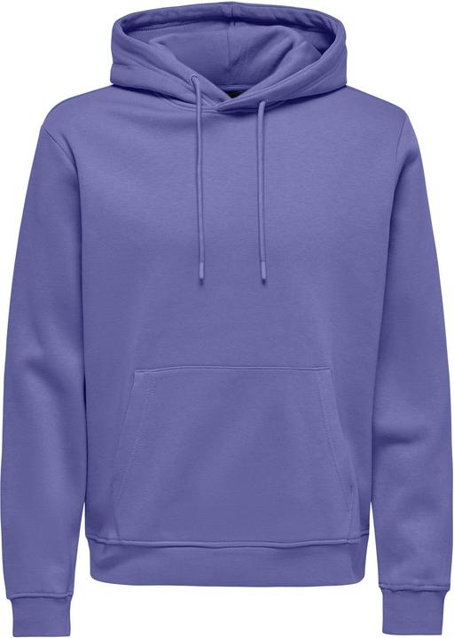 Only & Sons Onsconnor Reg Sweat Hoodie Noos