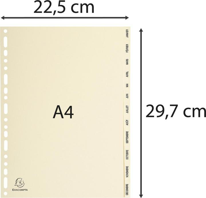 Produktbild Exacompta Karton-Register - elfenbeinfarben