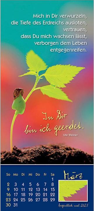 Produktbild Augenblick mal 2025 (Harter Einband, Deutsch)