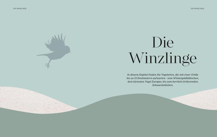 Produktbild Die magische Welt unserer Vögel (Deutsch, Matthias Futterer, Hannes Bonzheim, 2022)