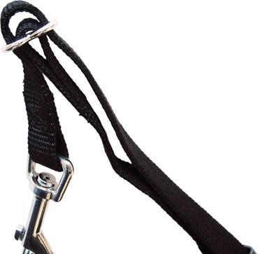 Actual product image Trixie Car harness (XS, Dog, General)