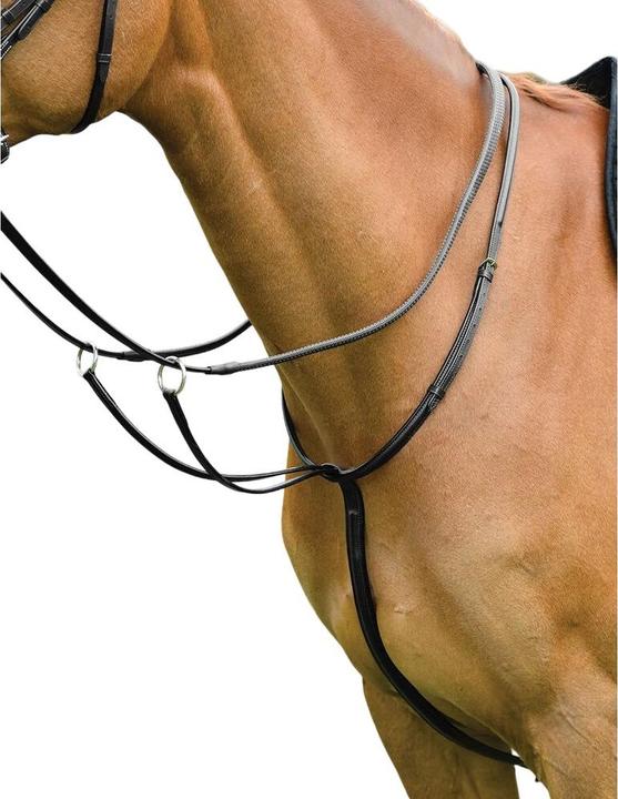 Image du produit Kincade - Martingale à anneaux pour chevaux CLASSIC