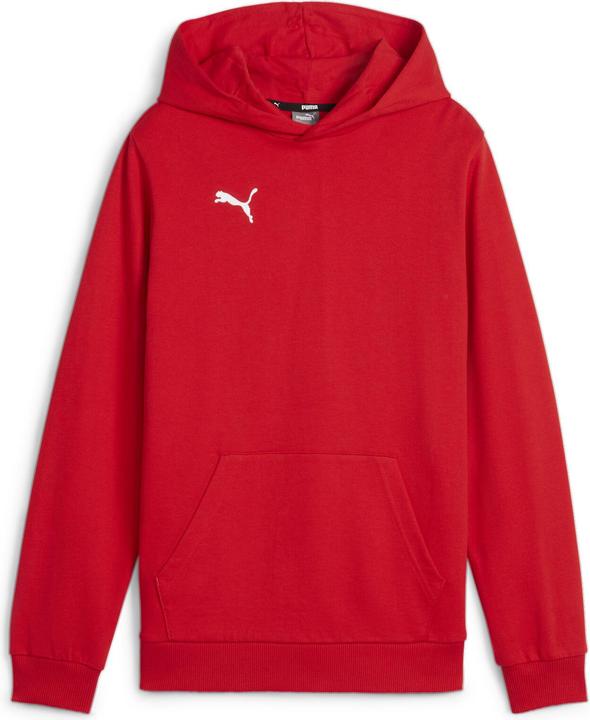 Puma teamGOAL Casuals Hoody Jr