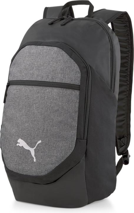 Puma teamFINAL Backpack L (25 l)