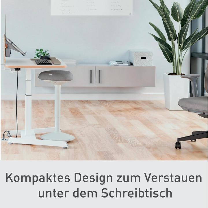 Immagine prodotto Leitz Ergo Active