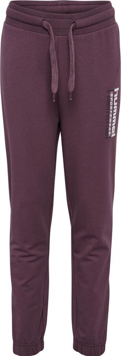 Image du produit hummel hmlTUKAS PANTS (116)