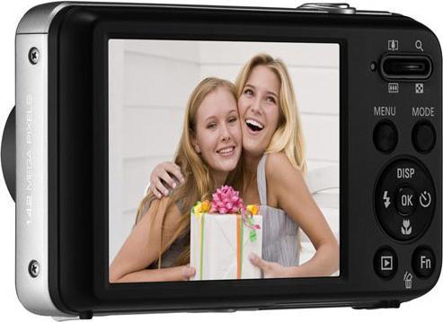 Immagine prodotto Samsung Pl170 (1/2,3'')
