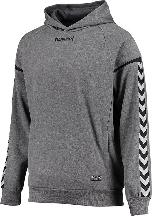 Produktbild hummel Authentic Charge Poly Hoodie (M)