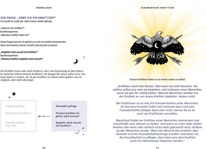 Image du produit Praxisbuch Schamanische Krafttiere – Entdecke deine Seelenbegleiter (Allemand, Benjamin Maier, 2022)