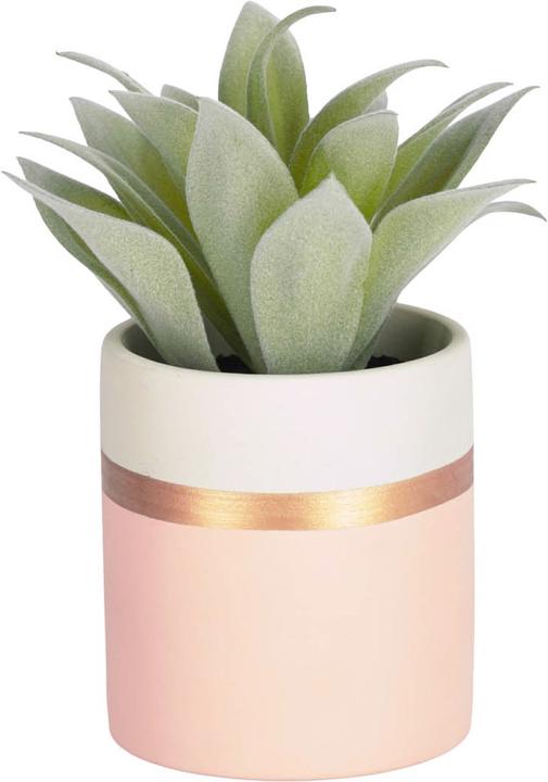 Image du produit Kave Home Agave (14 cm)