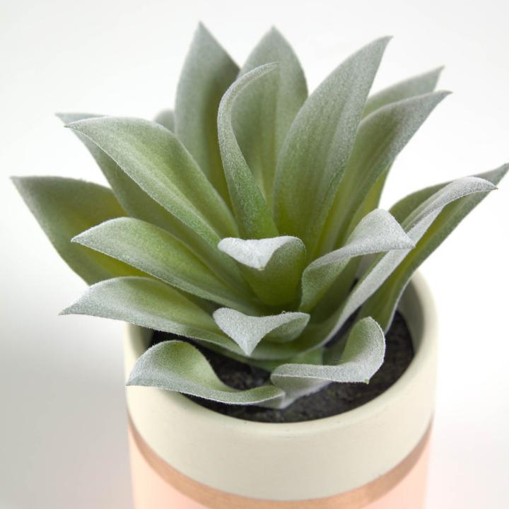 Image du produit Kave Home Agave (14 cm)