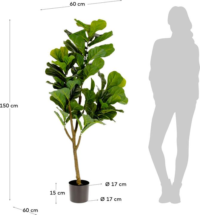 Actual product image Kave Home Ficus (150 cm)