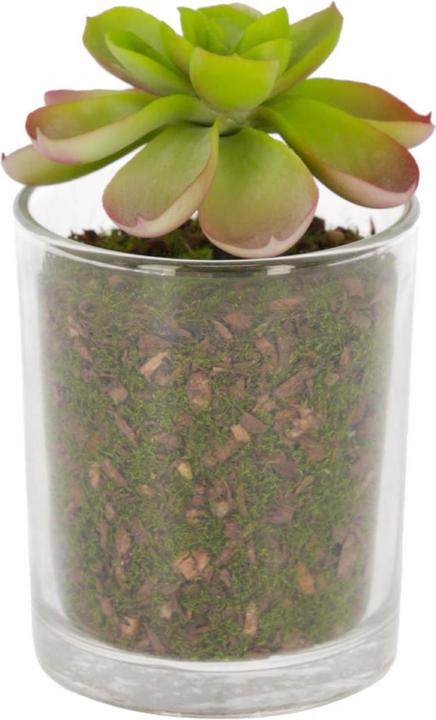 Image du produit Kave Home Aeonio (11 cm)