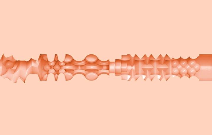 Actual product image Fleshlight Emily Willis