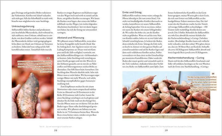Produktbild Frost:Das grosse Boden-Handbuch (Deutsch, Jesse Frost, 2025)