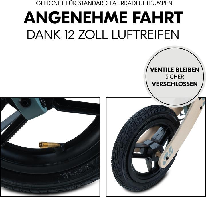 Immagine prodotto Hauck Balance N Ride Turtle (12")