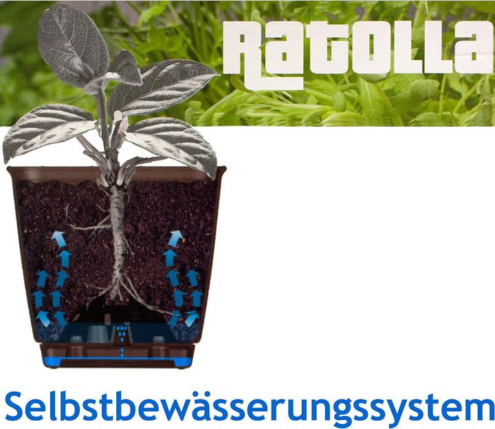 Produktbild Deuba Balkonkasten (49 cm)