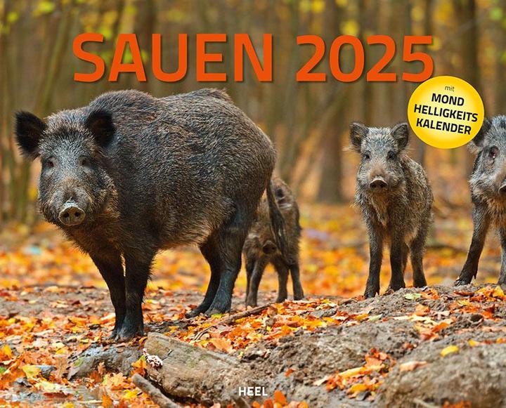 Produktbild Sauen Kalender 2025 Jagd-Kalender im XXL-Format (Deutsch)