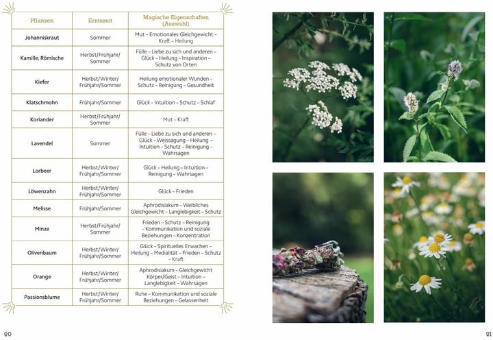 Produktbild Magische Rituale mit Räucherbündeln. Zu Jahresfesten und im Alltag: Reinigung, Schutz, Liebe uvm (Deutsch, Flora Denis, 2024)