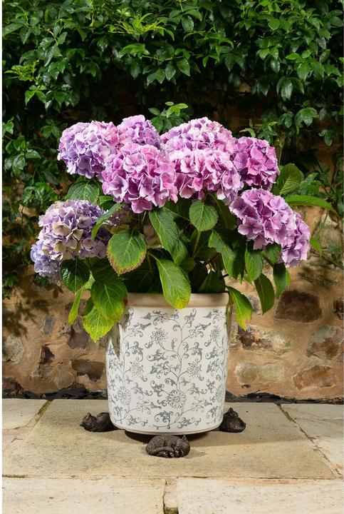 Image du produit Jardinopia Potty Feet Chat qui dort, lot de 3