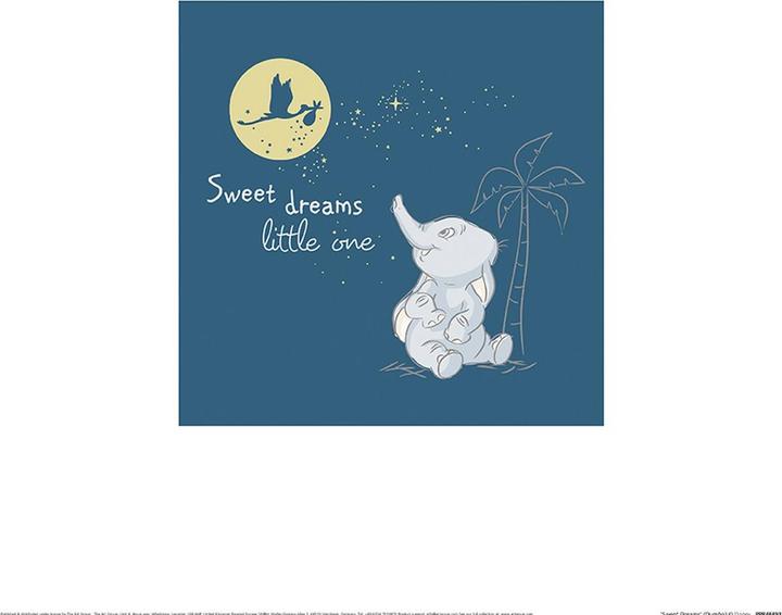 Actual product image Disney Printed Sweet Dreams (30 x 30 cm)