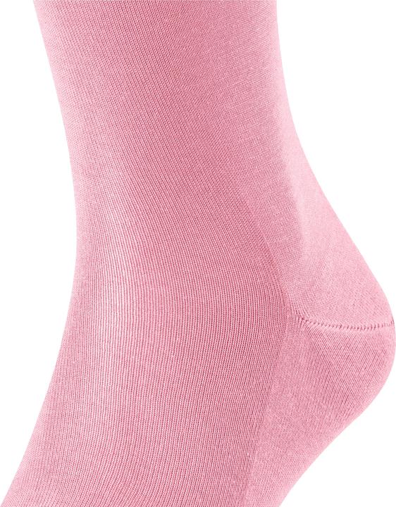 Actual product image Falke Tiago KH (Single pack, 39 - 40)