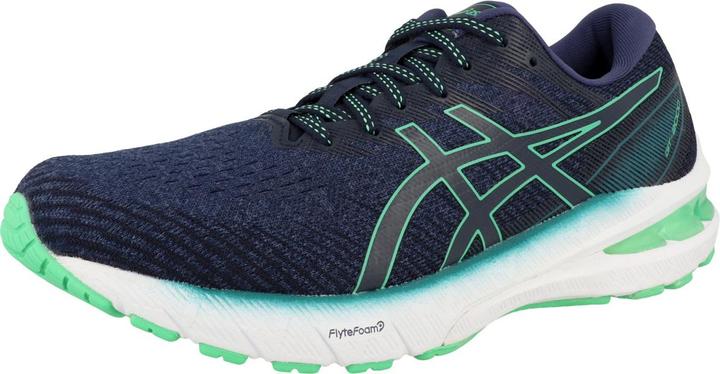 Image du produit ASICS Performance GT 2000 10 (45)