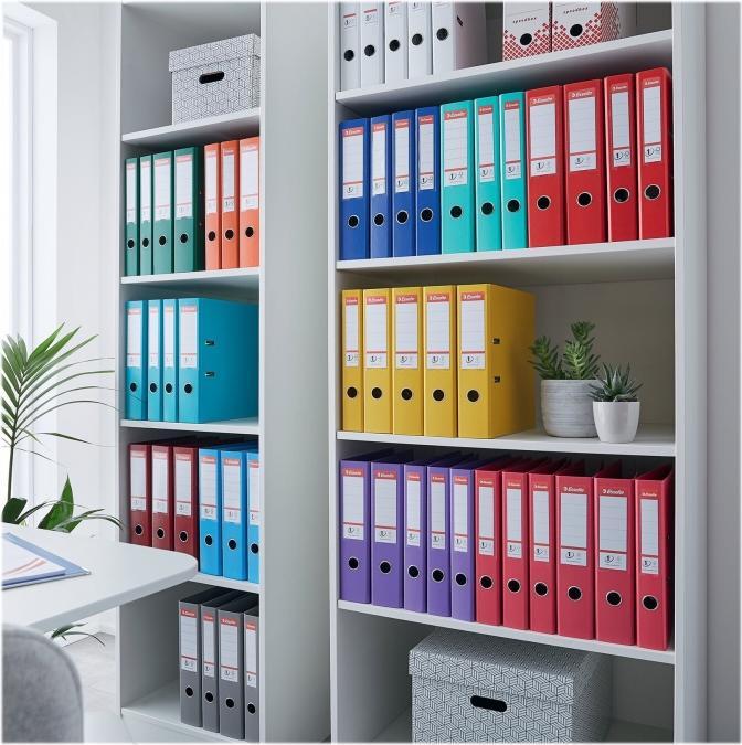 Image du produit Esselte Classeur plastique (A4, 75 mm, 1 pièce(s))