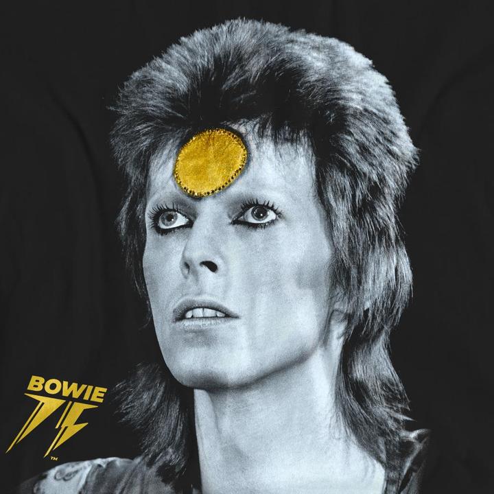 Actual product image David Bowie Unisex Adult Golden Bowie T-Shirt (M)