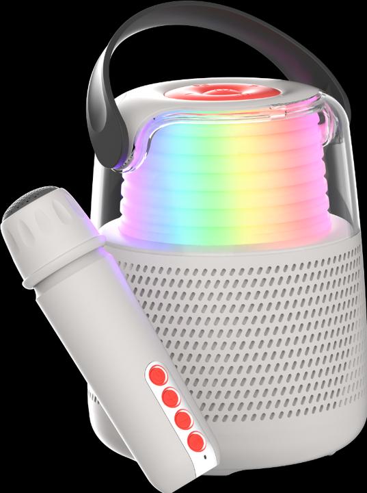 Actual product image Mobility on Board Karaoke speaker KS-80 grey (5 h, Electrical connection)