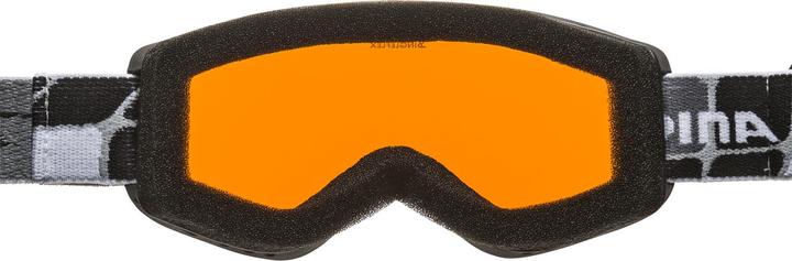 Actual product image ALPINA SPORTS Carvy 2.0
