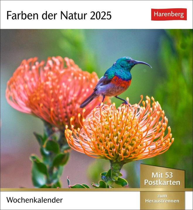 Harenberg Farben der Natur Postkartenkalender 2025 - Wochenkalender mit 53 Postkarten (16 x 17.5 cm, Harter Einband, Deutsch)