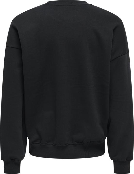 Image du produit Only & Sons Onsturner Life Vtg Crew Neck Sweat Noos (M)